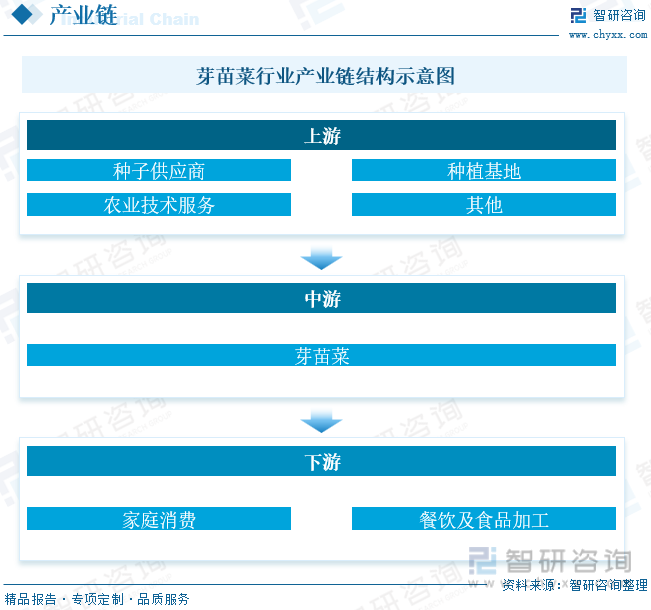 2023年中国芽苗菜行业发展现状分析：已成为21世纪受欢迎的绿色蔬菜和保健食品[图](图2)