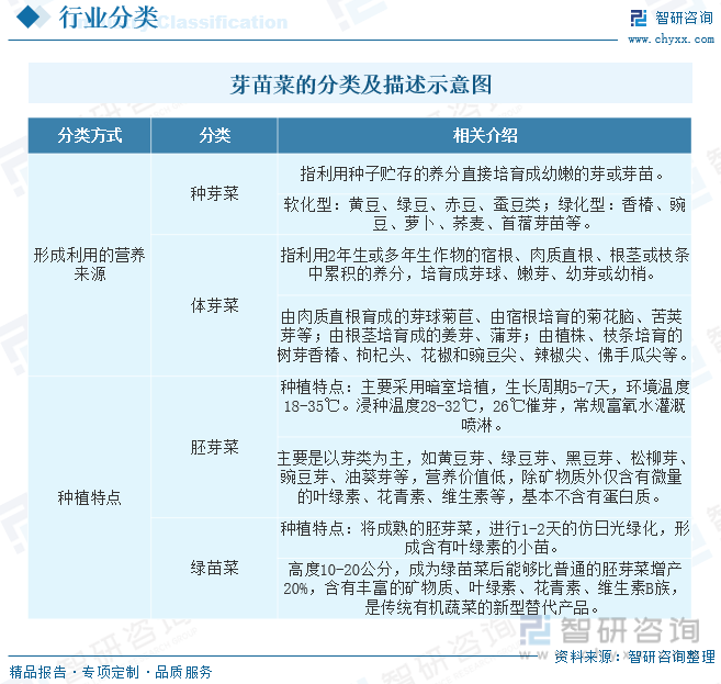 2023年中国芽苗菜行业发展现状分析：已成为21世纪受欢迎的绿色蔬菜和保健食品[图](图1)