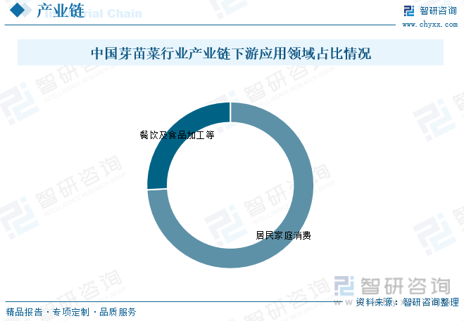 2023年中国芽苗菜行业发展现状分析：已成为21世纪受欢迎的绿色蔬菜和保健食品[图](图3)